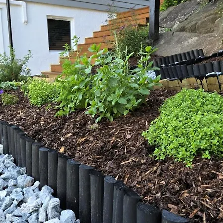 Morgensolen Lejlighed